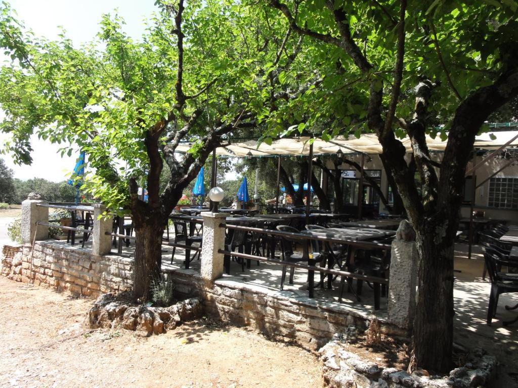 מלון Orgnac-lʼAven Terrasses De L'Aven מראה חיצוני תמונה
